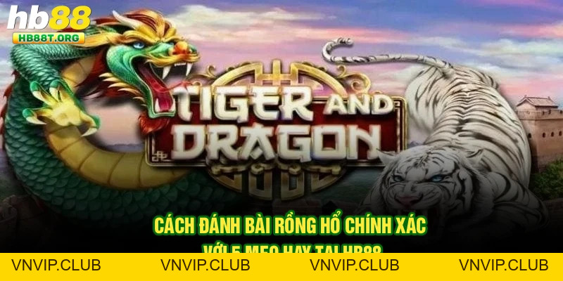 Tin Tức - Website - VNVIP