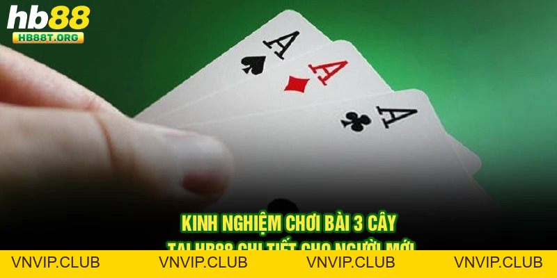 Tin Tức - Website - VNVIP