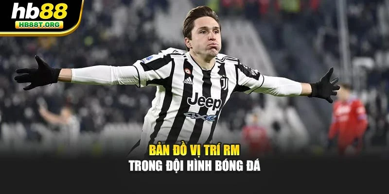 Rm Trong Bóng Đá Là Gì? Giải Mã Vai Trò Quan Trọng Tại Hb88 - VNVIP