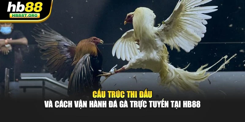 Đá Gà Trực Tuyến Có Bao Nhiêu Loại Cược Tại Nhà Cái HB88 - VNVIP