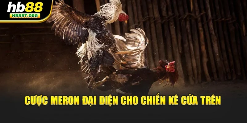 Đá Gà Trực Tuyến Có Bao Nhiêu Loại Cược Tại Nhà Cái HB88 - VNVIP