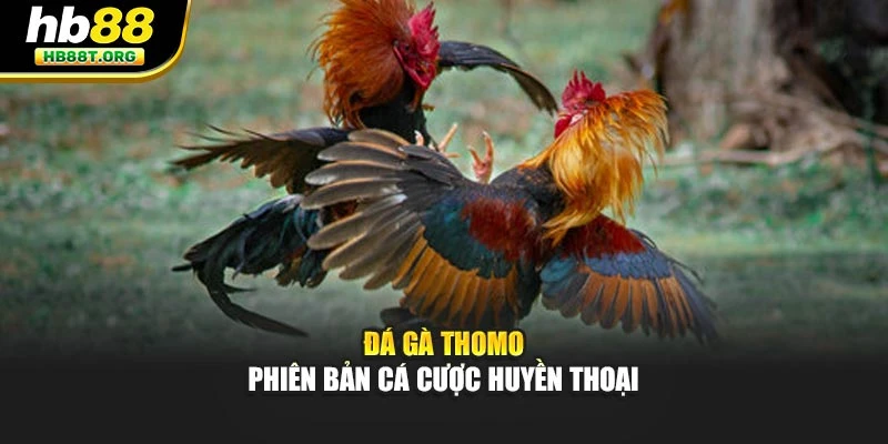 Chơi Đá Gà Trực Tuyến Với Tiền Thưởng Khủng Tại HB88 - VNVIP