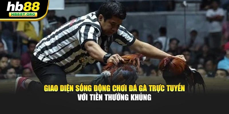 Chơi Đá Gà Trực Tuyến Với Tiền Thưởng Khủng Tại HB88 - VNVIP