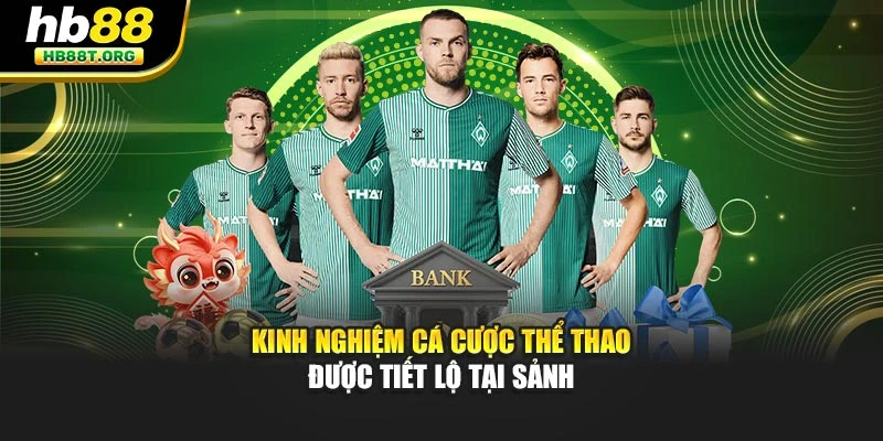 Kinh Nghiệm Cá Cược Thể Thao Cùng 3 Mẹo Hiệu Quả Ở Hb88 - VNVIP