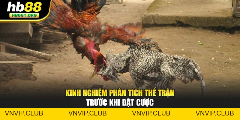 Đá Gà HB88 - Trải Nghiệm Kịch Tính, Chiến Thuật Thắng Lợi - VNVIP