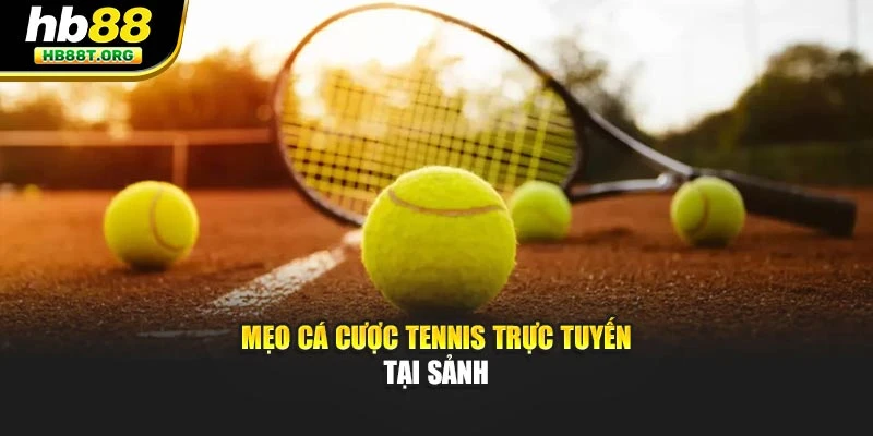 Mẹo Cá Cược Tennis - Cao Thủ Hb88 Tiết Lộ 4 Tuyệt Chiêu Vàng - VNVIP