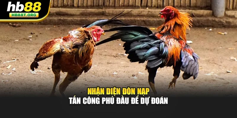 Bí Quyết Dự Đoán Thắng Trong Đá Gà – Chiến Thuật Tại HB88 - VNVIP