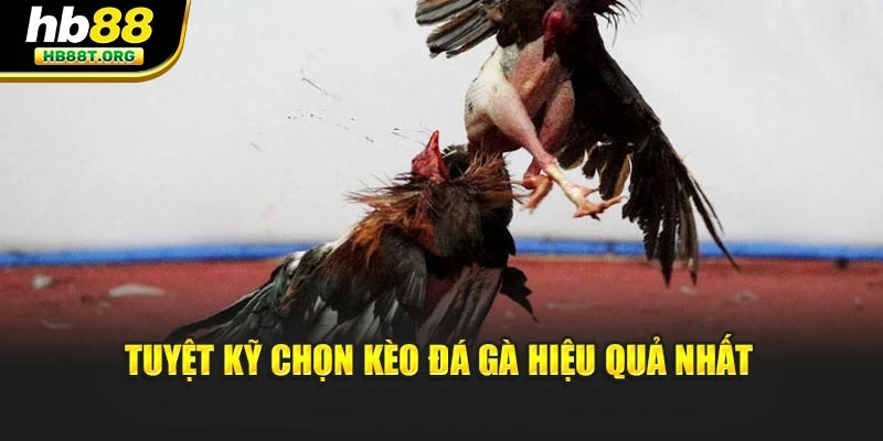 Chiến Thuật Cược Thông Minh Khi Chơi Đá Gà Cùng Hb88 - VNVIP